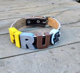 Letters for Dog Collar 3d model