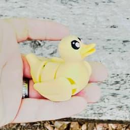Flexy Rubber Duck 3d model