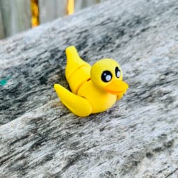 Flexy Rubber Duck 3d model