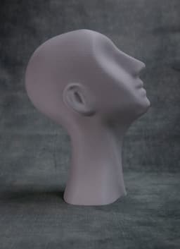 Eyeless (Pre Supported) 3d model