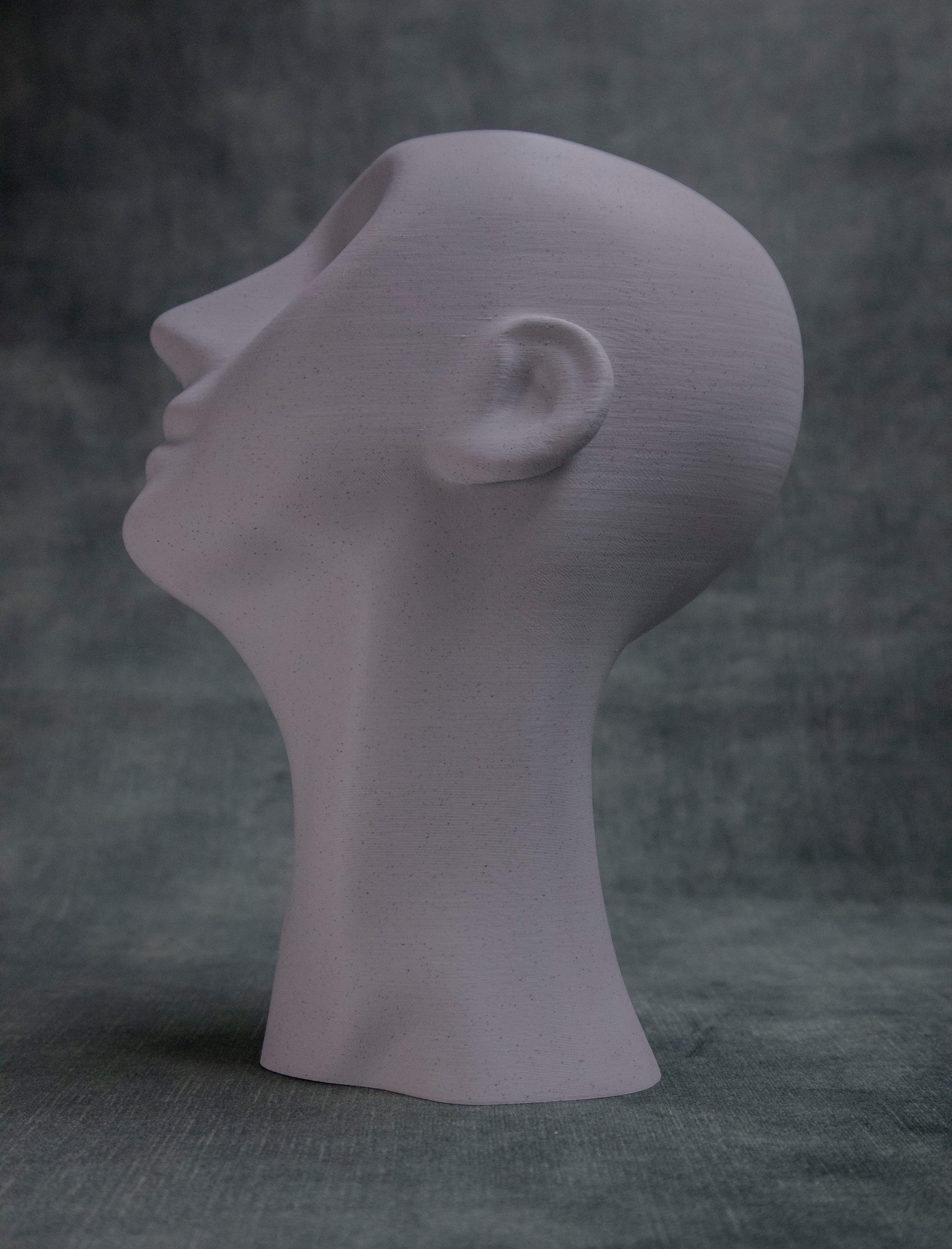 Eyeless (Pre Supported) 3d model