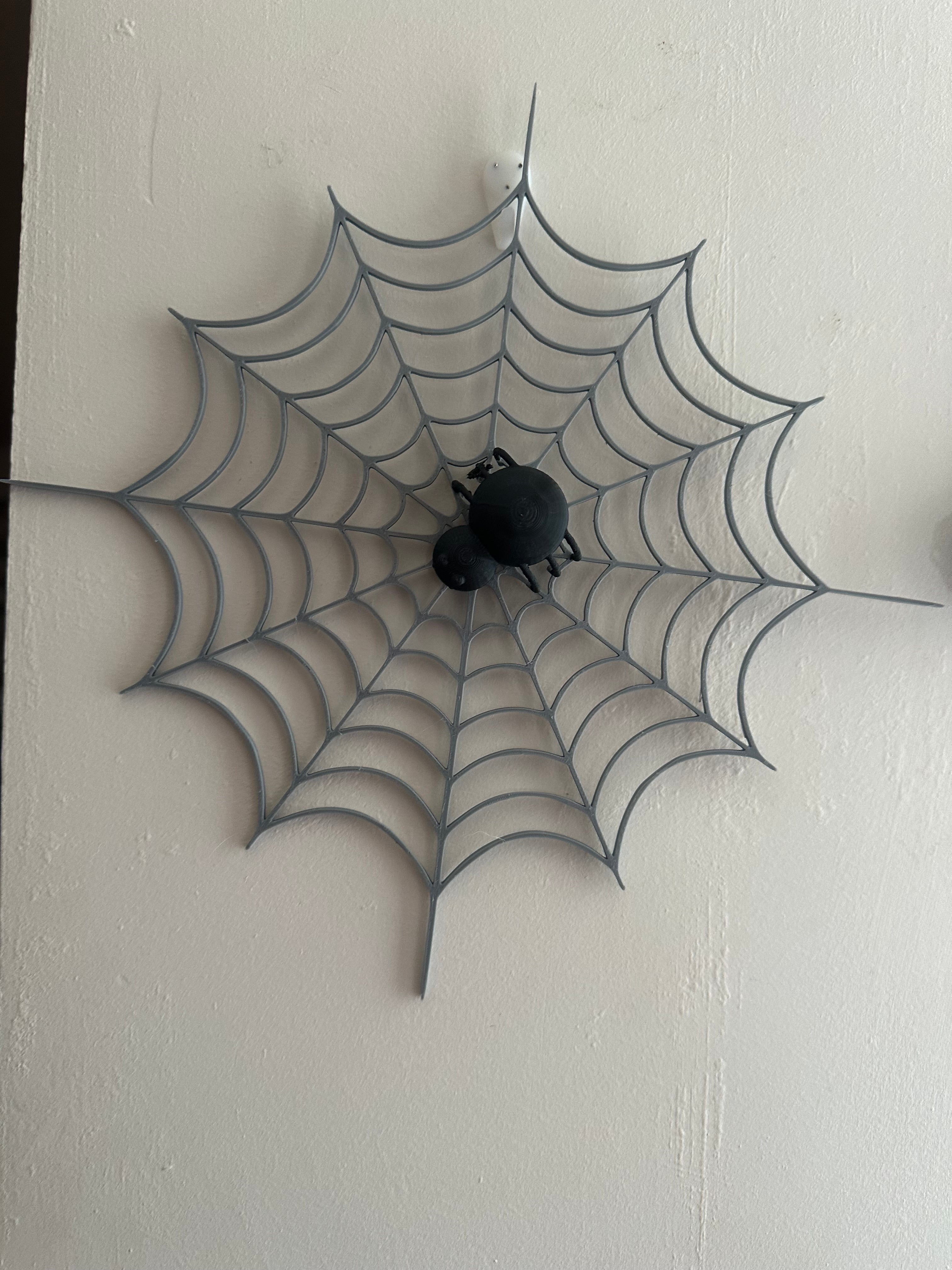 spider 3d model
