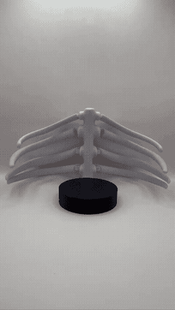 ARTICULATED RIBS COASTER 3d model