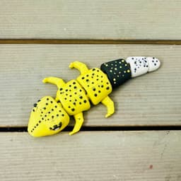 Mini Leopard Gecko w .3MF!! 3d model