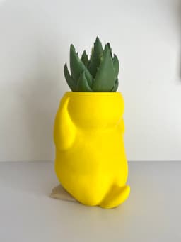 POKEMON PSYDUCK POT / PLANTER 3d model