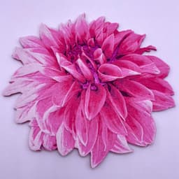 HueForge Dahlia 3d model