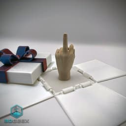 Surprise Gift Box 3d model