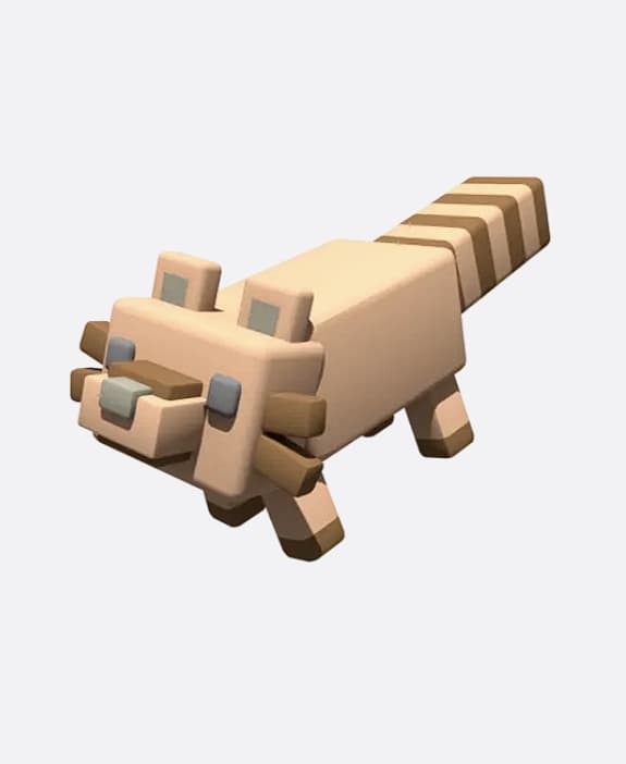 Raccoon (Blender Version) 3d model