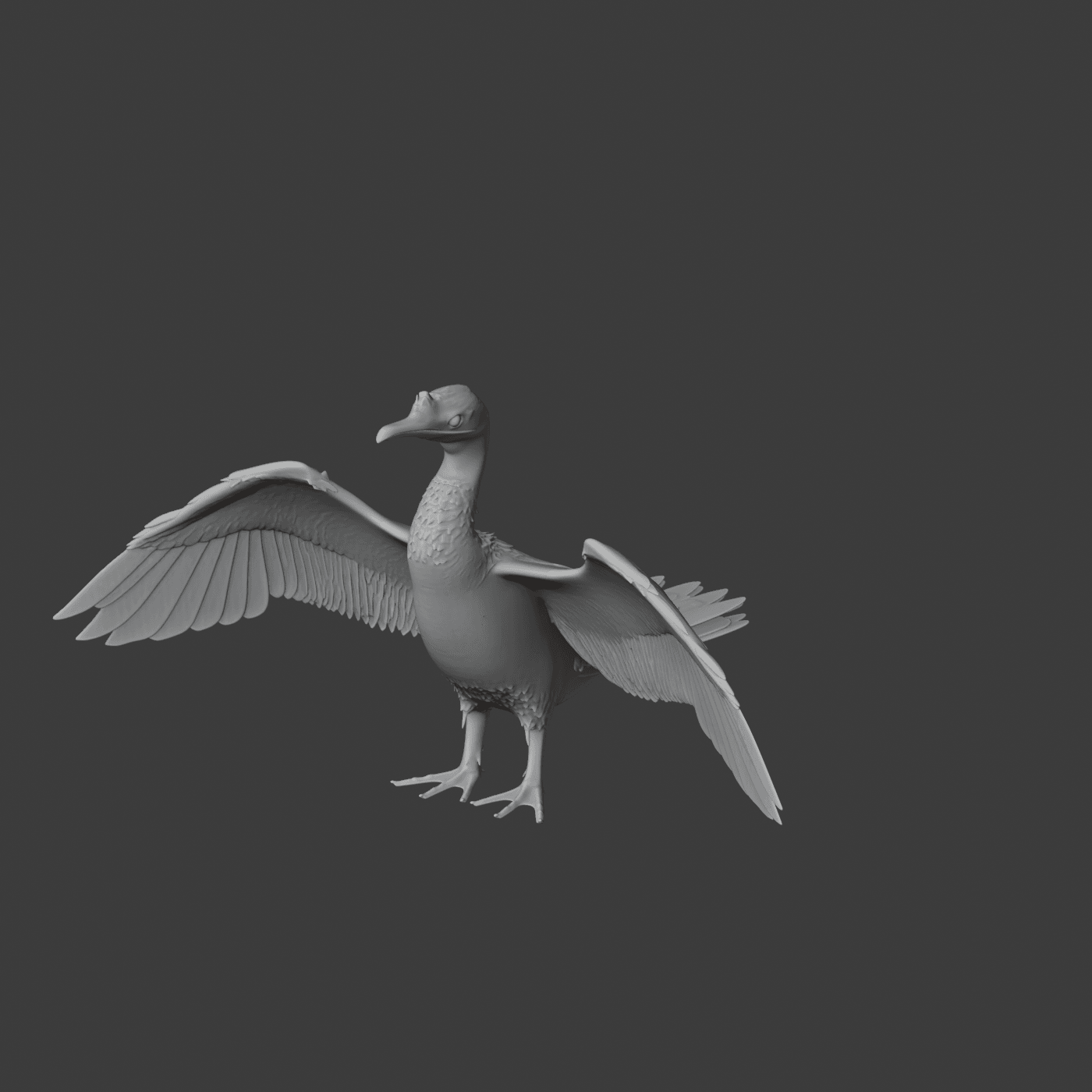 Cormorant 3d model