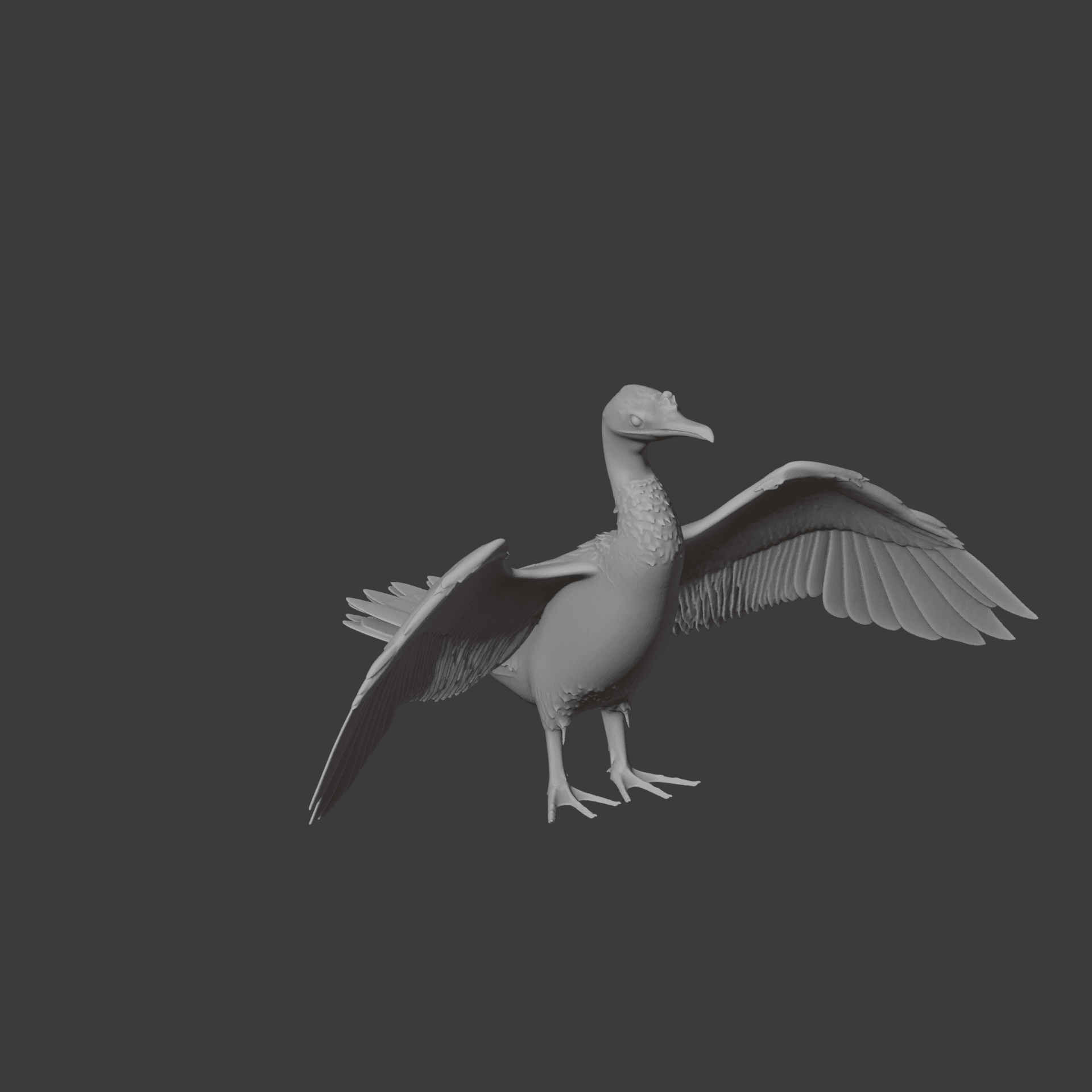 Cormorant 3d model