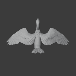 Cormorant 3d model