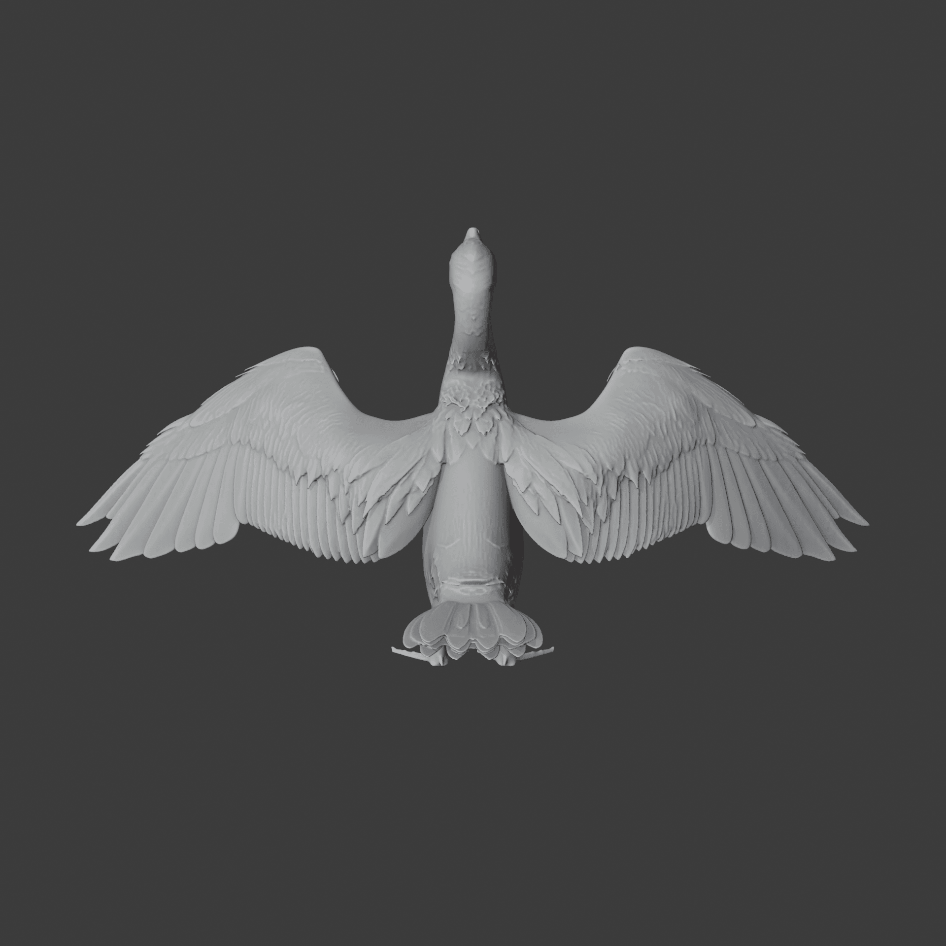 Cormorant 3d model