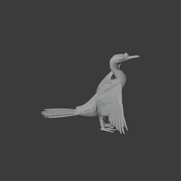 Cormorant 3d model