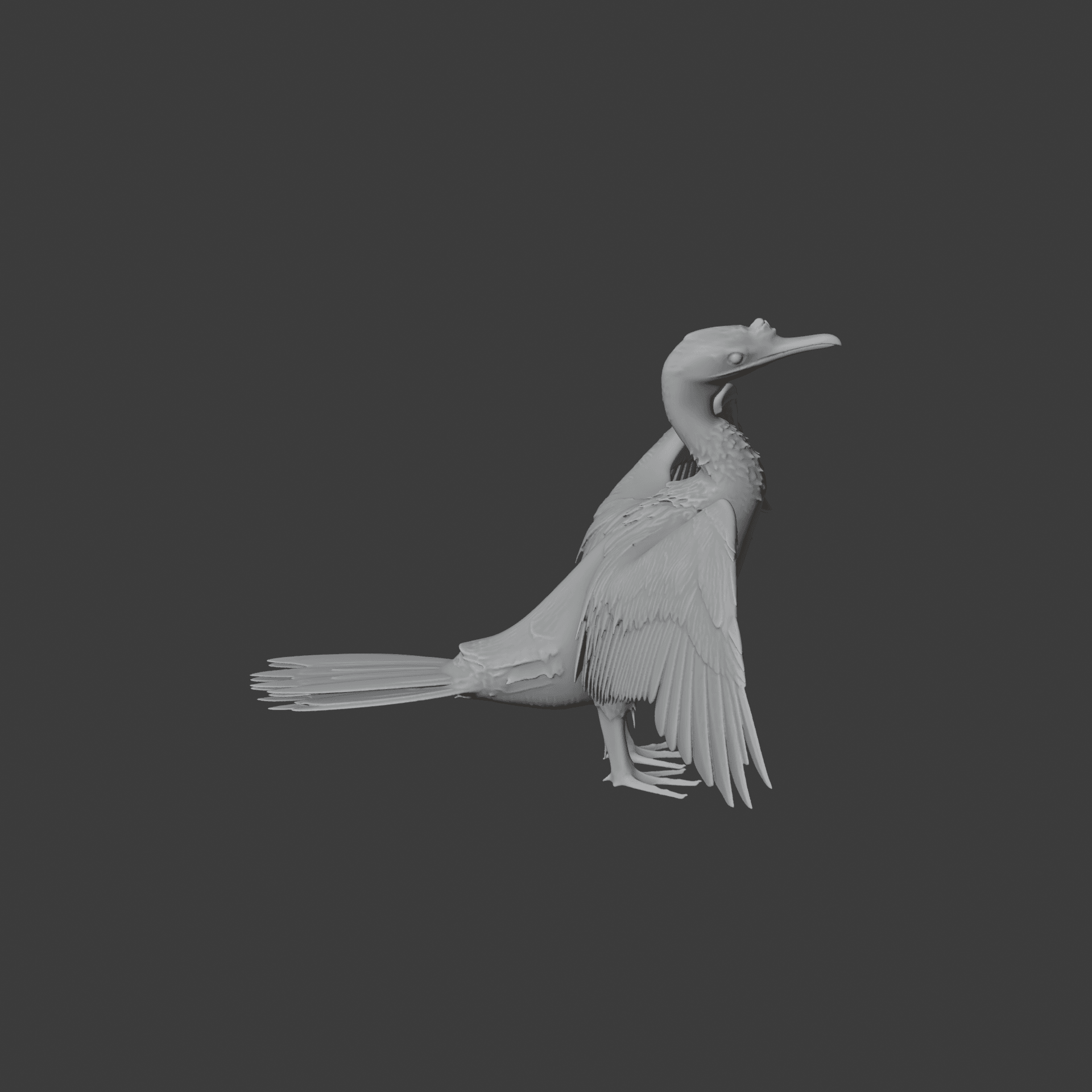 Cormorant 3d model