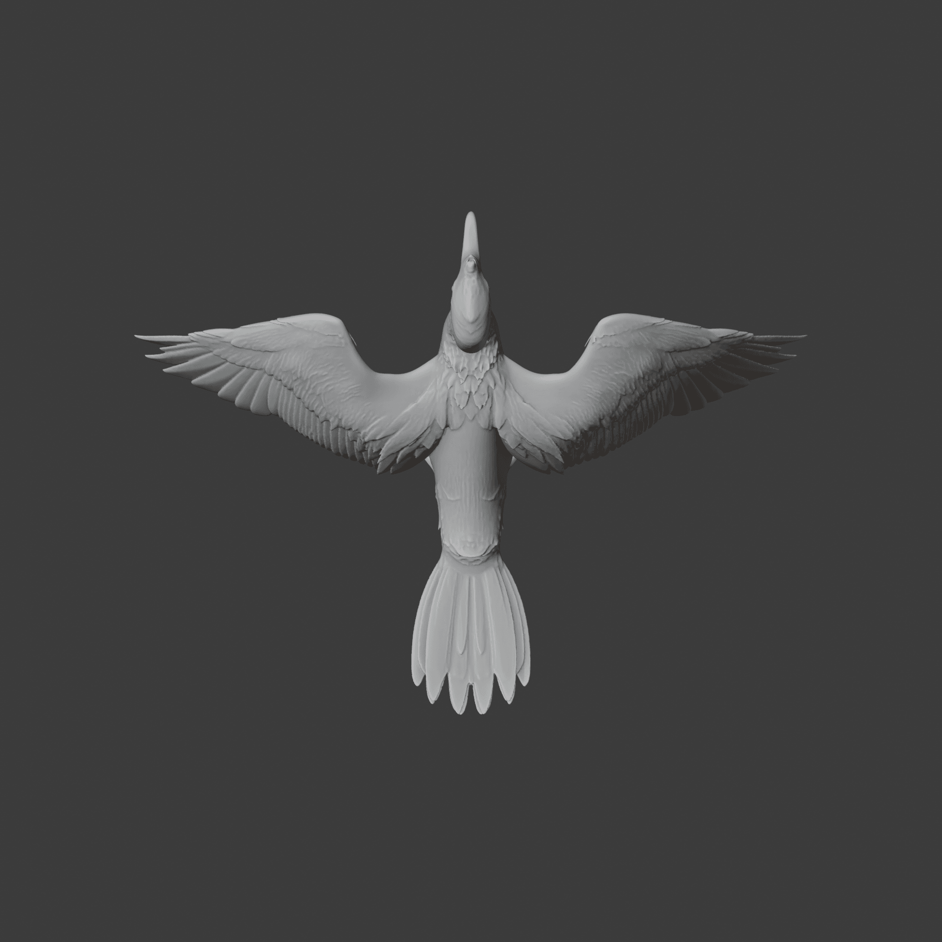 Cormorant 3d model