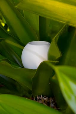Planter | Boem x Minimalissimo 3d model