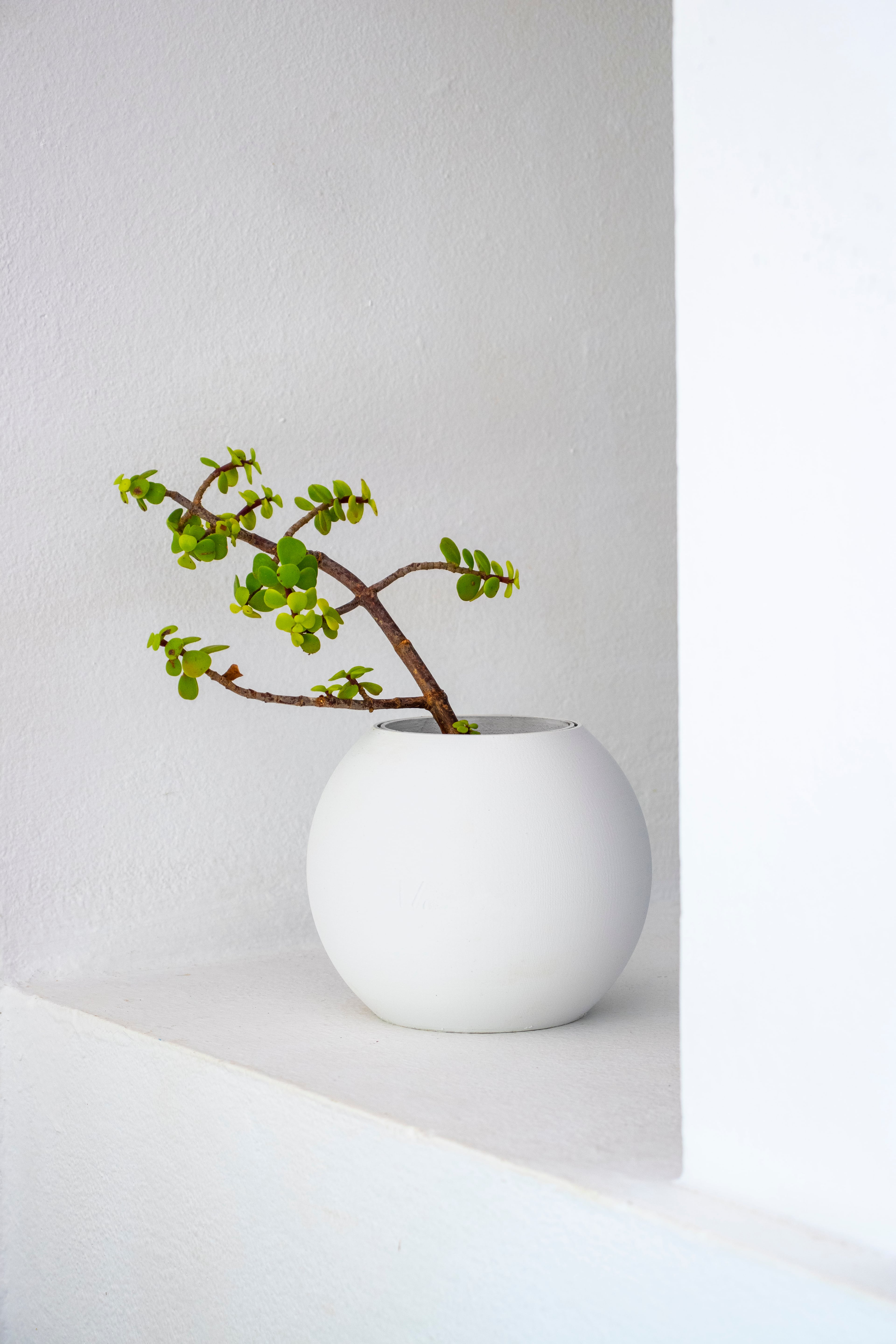 Planter | Boem x Minimalissimo 3d model