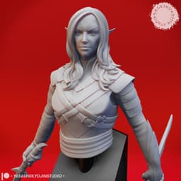 Drow Assassin - Bust (Pre-Supported) 3d model
