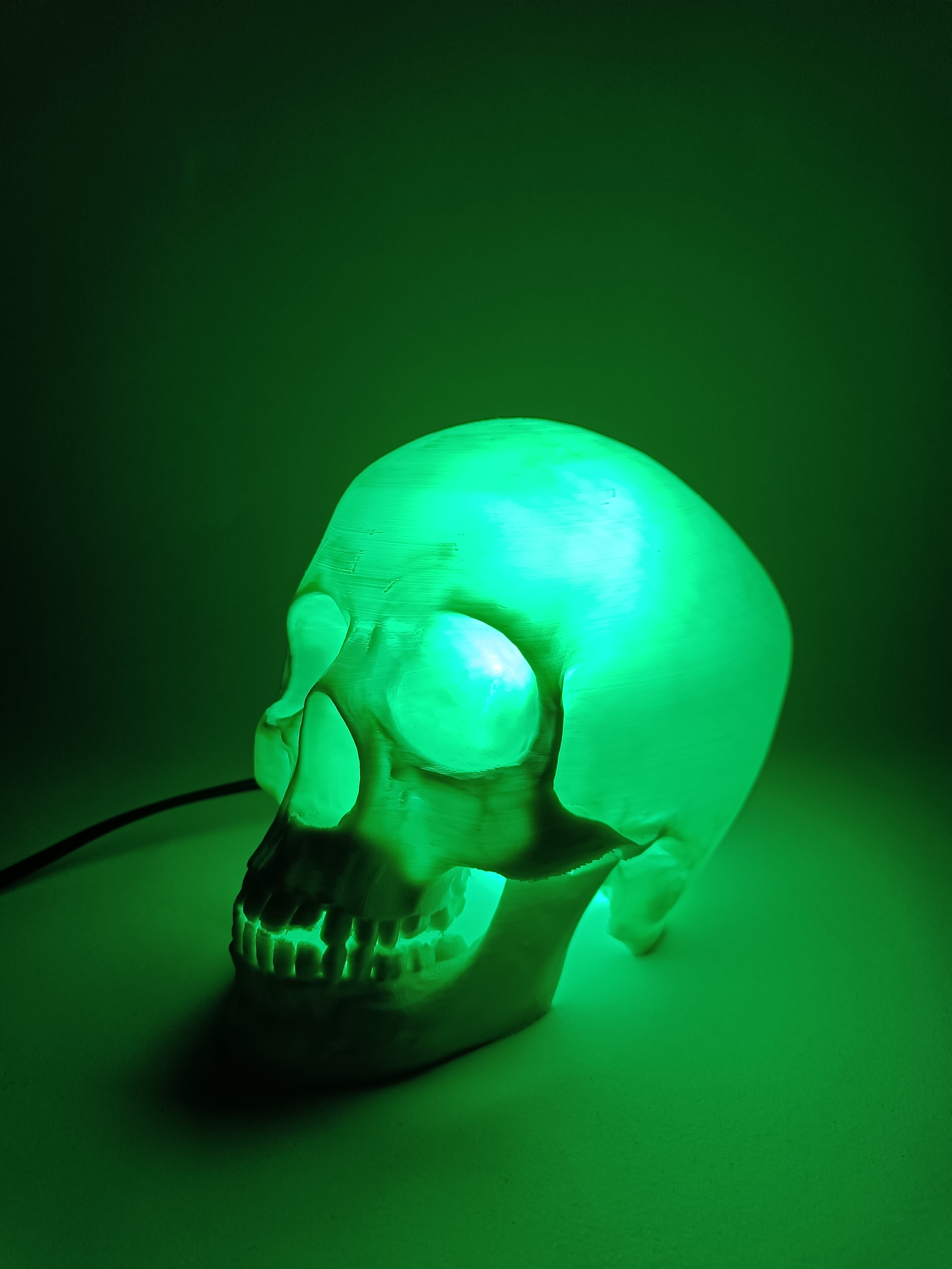 Skull Lamp 3d model