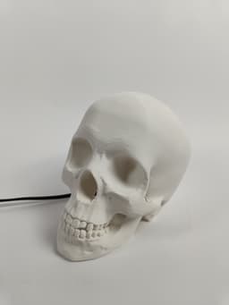 Skull Lamp 3d model