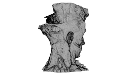 Abstract Sculpture - House Inside the Head 3d model