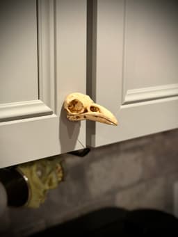 Raven skull drawer pull 3d model