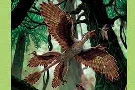 microraptor 3d model