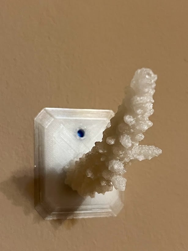 Coral arm hook 3d model