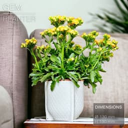 GEM | Cache-pot Planter 3d model