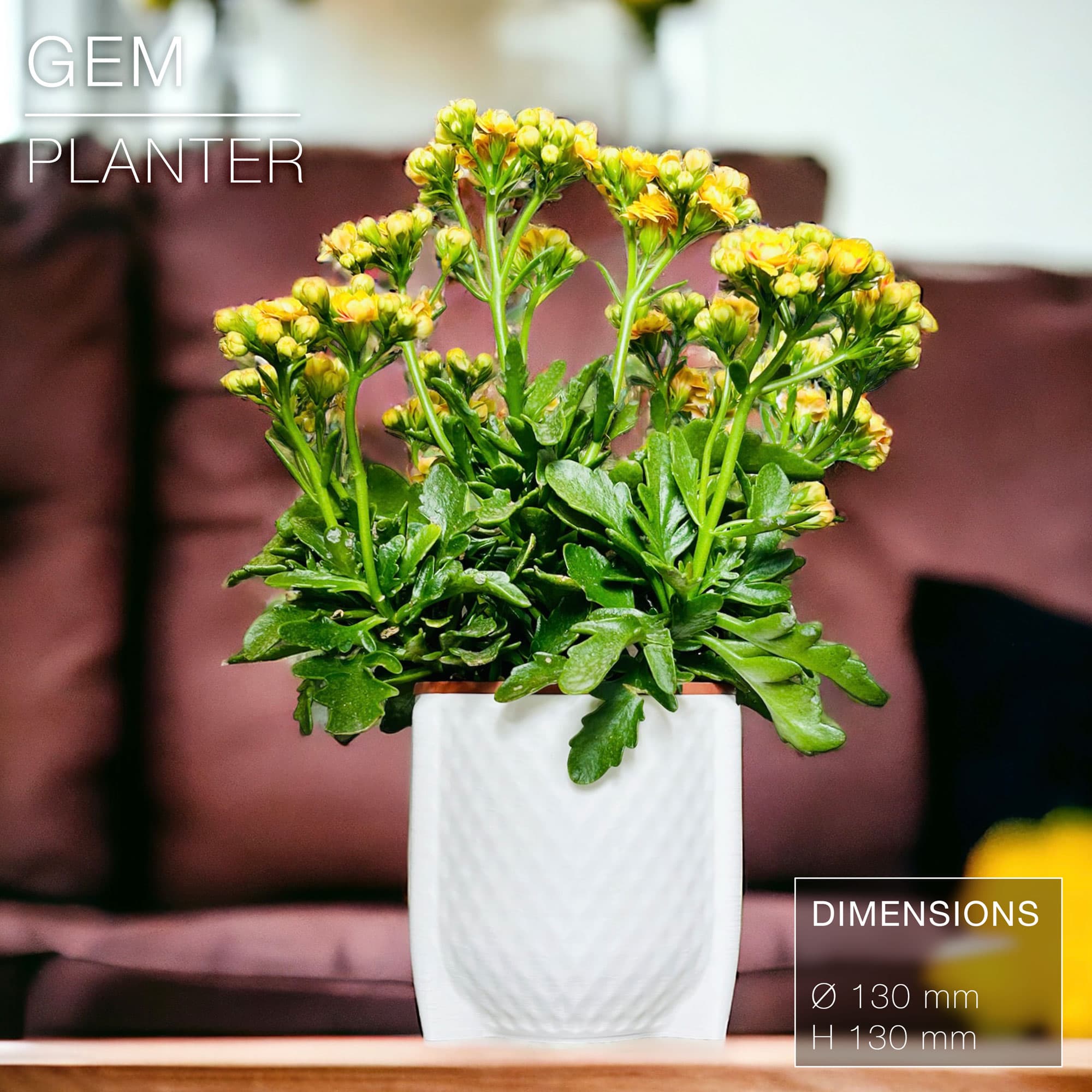 GEM | Cache-pot Planter 3d model