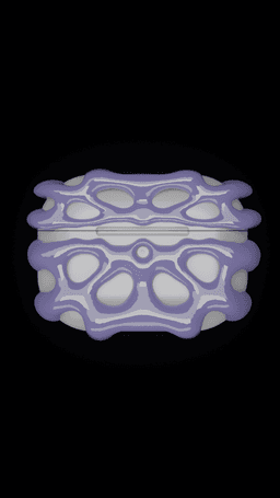 V10 Abstract Airpods Pro 1/2 case 3d model