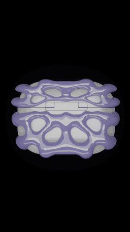 V10 Abstract Airpods Pro 1/2 case 3d model