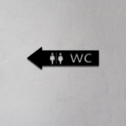 Toilet Sign 3d model