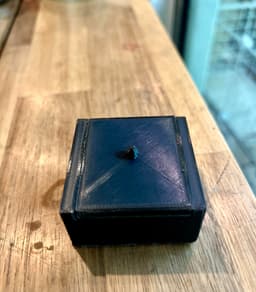 The Coin Box 3d model