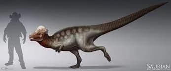 pachycephalosaurus 3d model