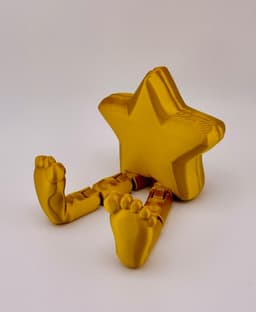 Christmas Flexi Group 3d model