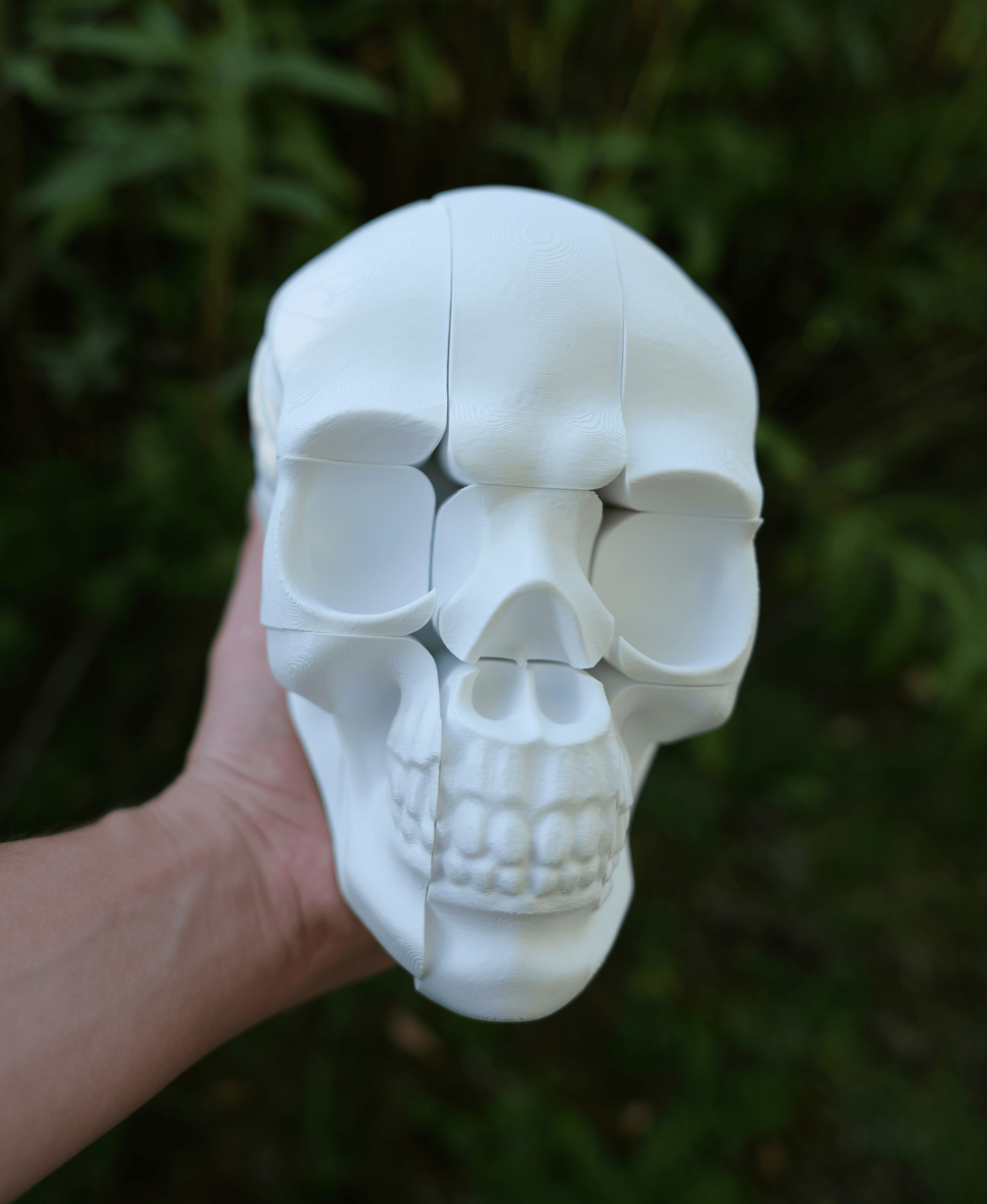 Twisty Skull Puzzle 3d model