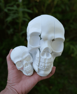 Twisty Skull Puzzle 3d model