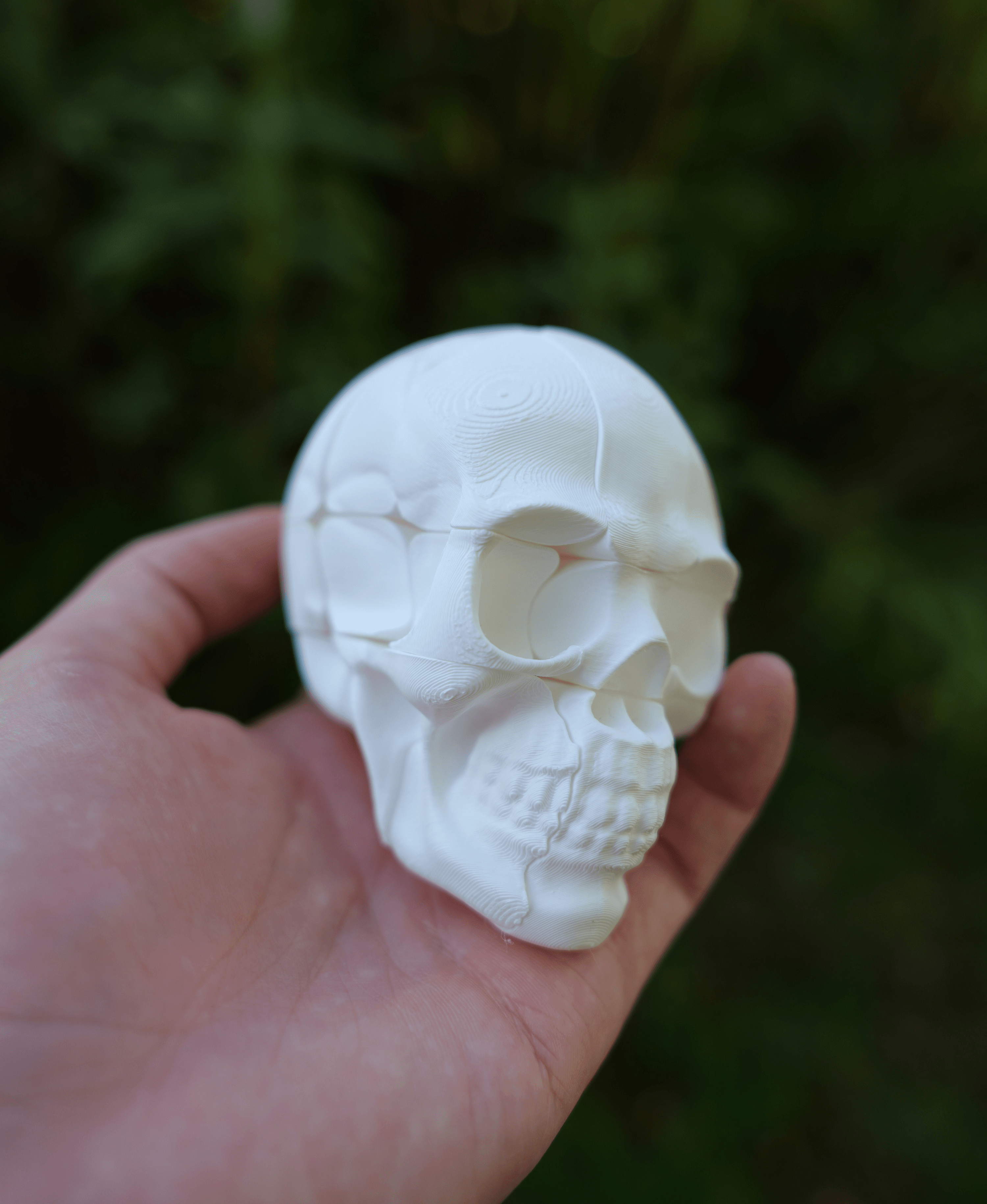 Twisty Skull Puzzle 3d model