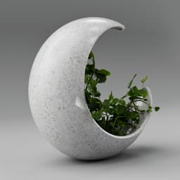 Moon Vase 3d model