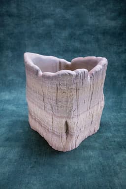 Trunk Pot (Prę Supported) 3d model