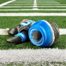Footballs Biggest Little Fan Turtle 3d model