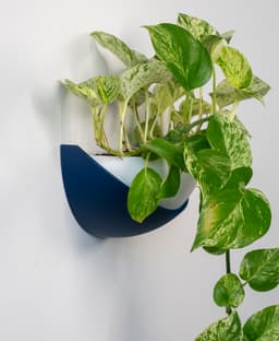 Half Dome Wall Planter 3d model