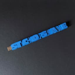Stick of Shame 3d model