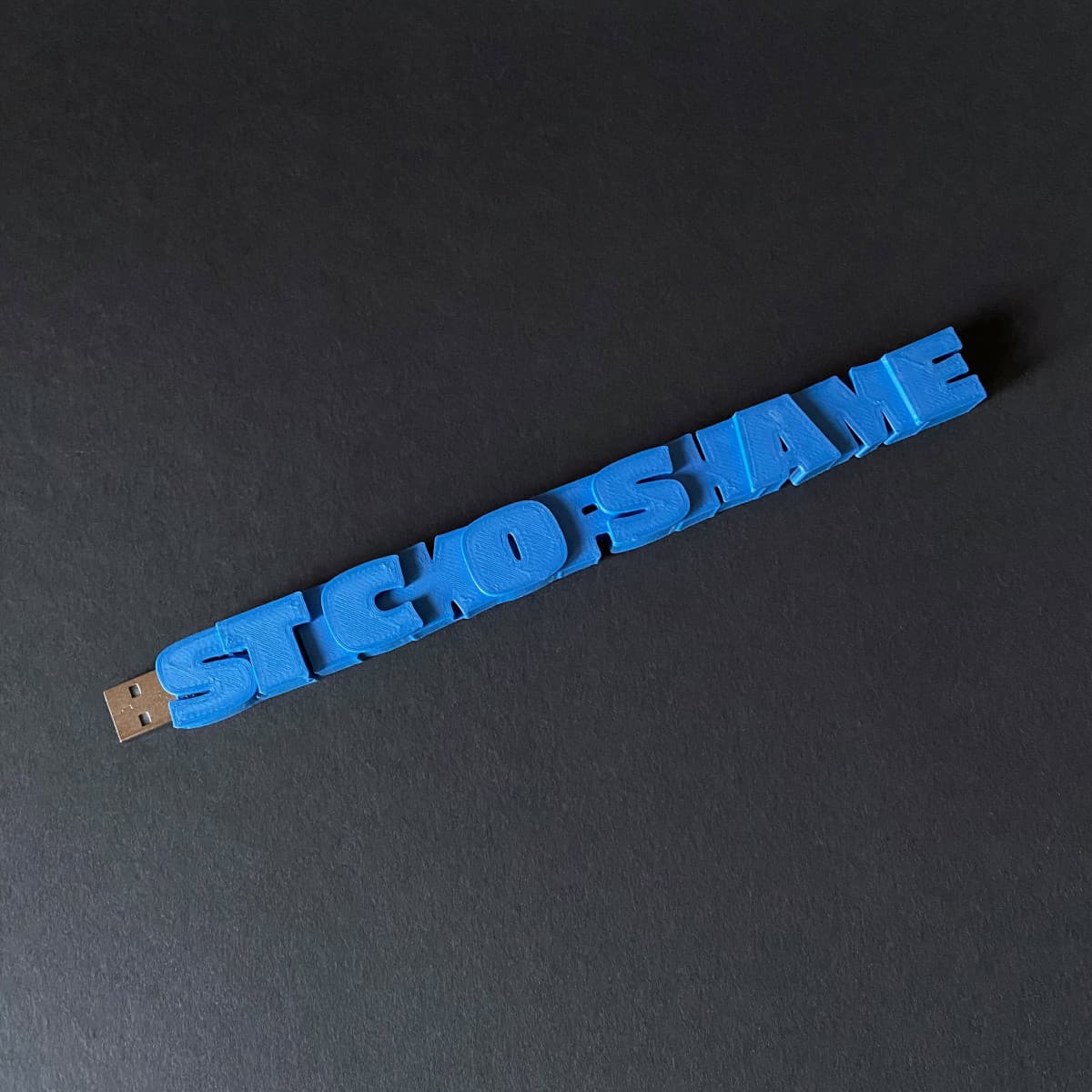 Stick of Shame 3d model