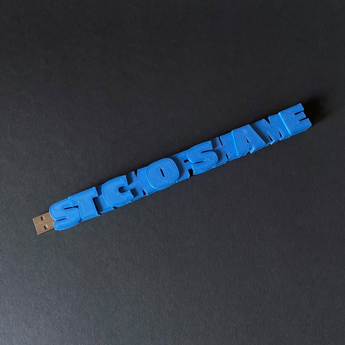 Stick of Shame 3d model