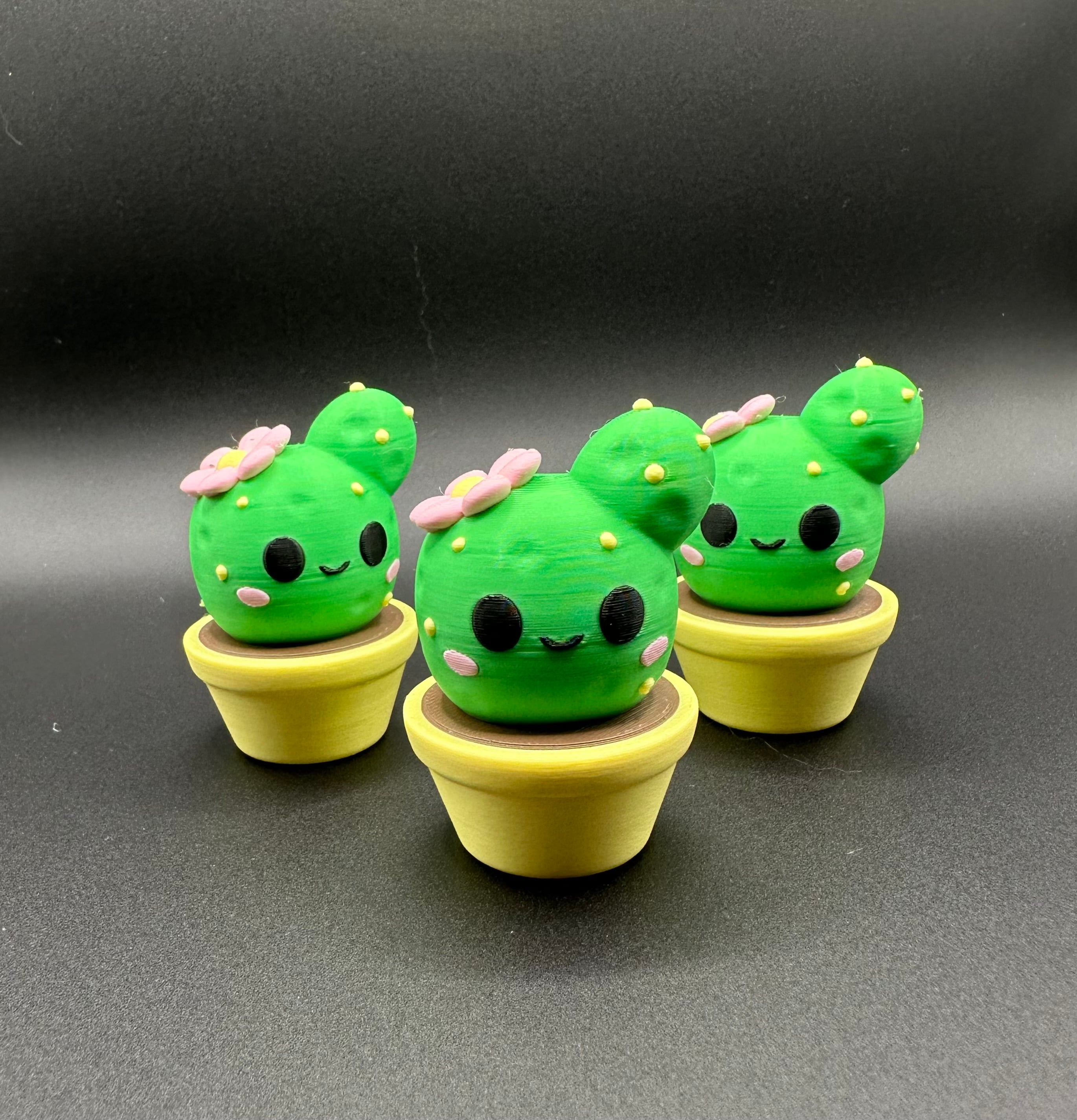 CUTE CACTUS 3d model