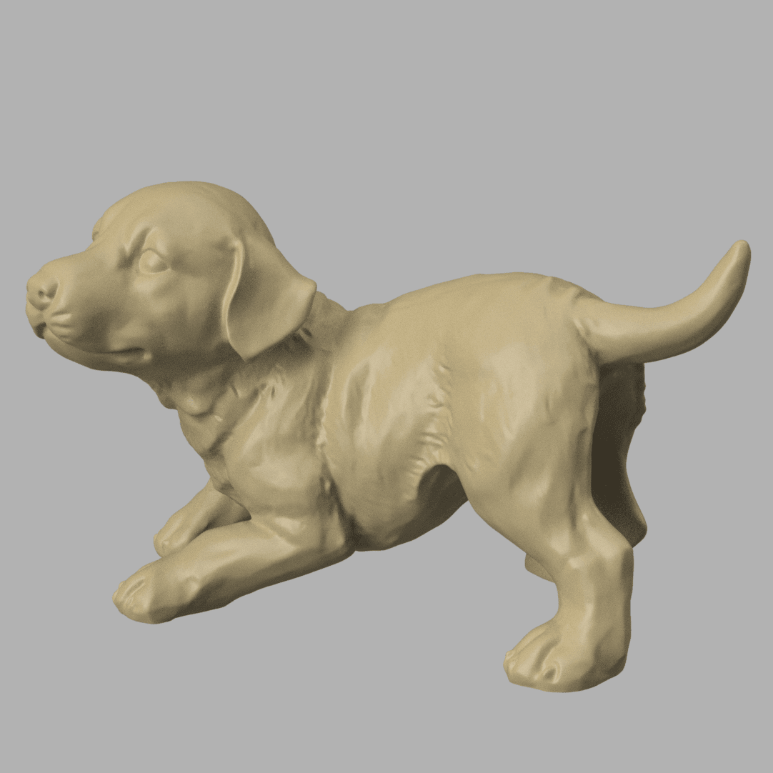 Labrador puppy play 3d model