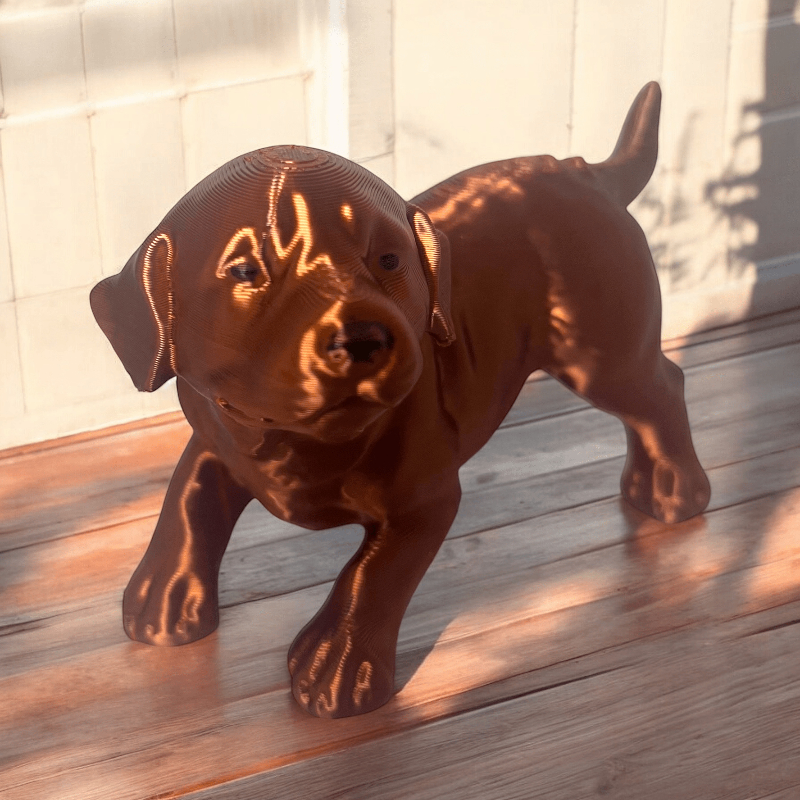 Labrador puppy play 3d model