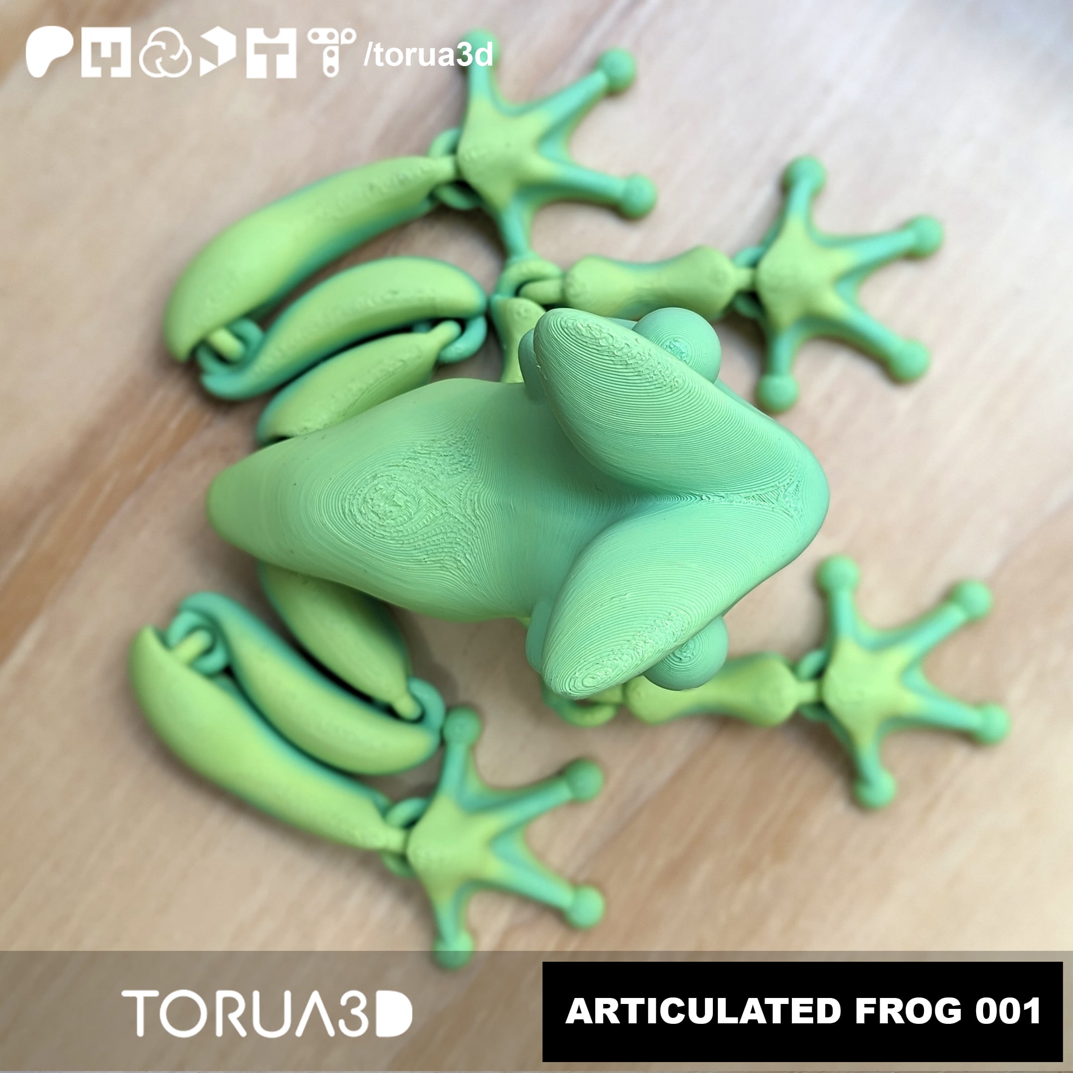 ARTICULATED FROG 001 | STL File 3d model